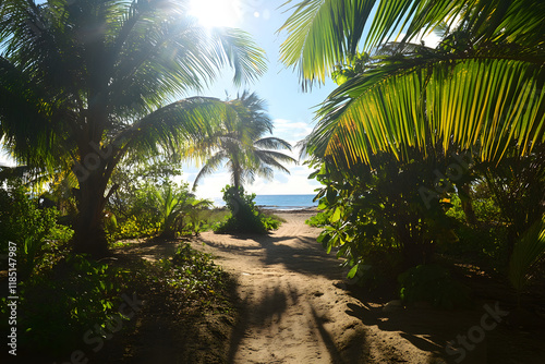 Beautiful tropical beach with palm trees and a blue sky