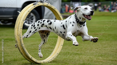 Dalmatian, A Dalmatian dog jumping through a hoop, captured in a dynamic action pose, showcasing agility and playfulness in a vibrant setting.