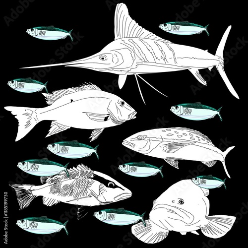 Gamefish silhouettes and colorful baitfish patterns, black background 