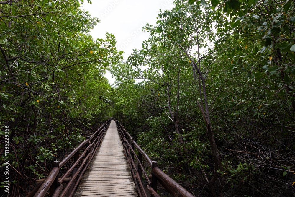 Porto de Pedras, Alagoas, Brazil. July, 19, 2024. Views of Patacho beach. Views of the areas during low tide between the mouth and the mangroves of the Tatuamunha River. Porto de Pedras, Alagoas, Brazil. July, 19, 2024. Views of Patacho beach. Views of the areas during low tide between the mouth and the mangroves of the Tatuamunha River.