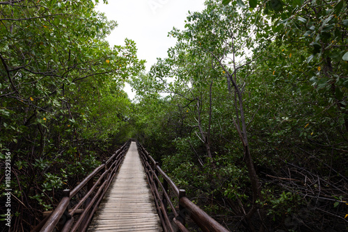 Porto de Pedras, Alagoas, Brazil. July, 19, 2024. Views of Patacho beach. Views of the areas during low tide between the mouth and the mangroves of the Tatuamunha River.