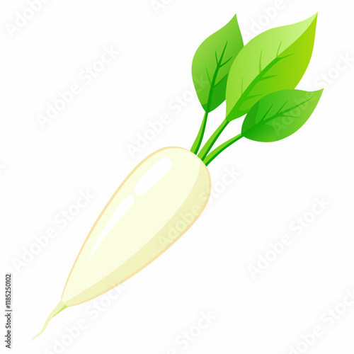 white long radish