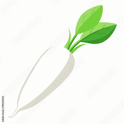 white long radish