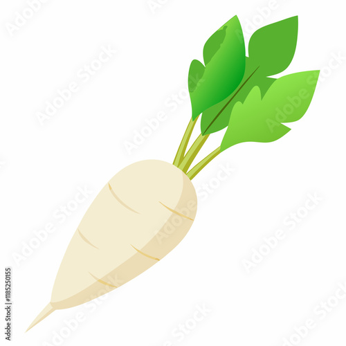 white long radish
