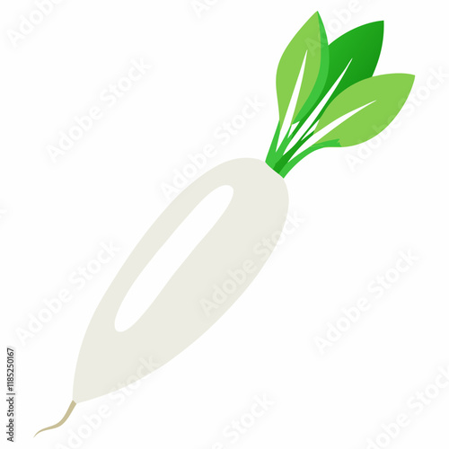 white long radish