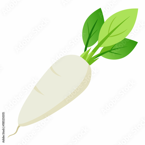 white long radish