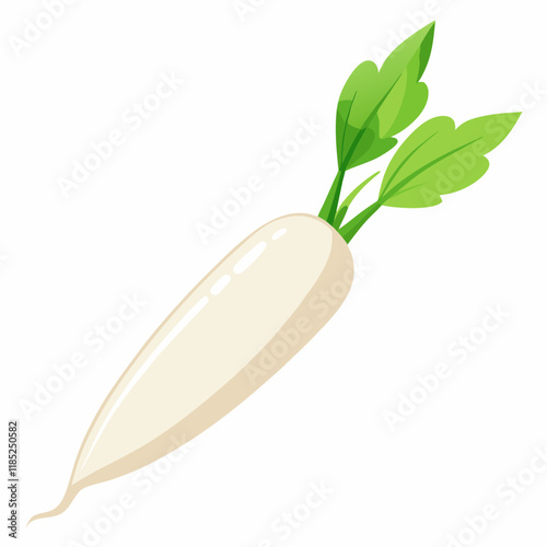 white long radish