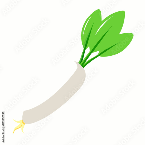 white long radish