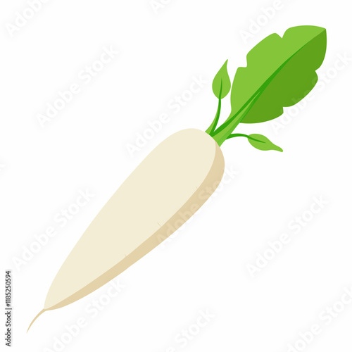 white long radish