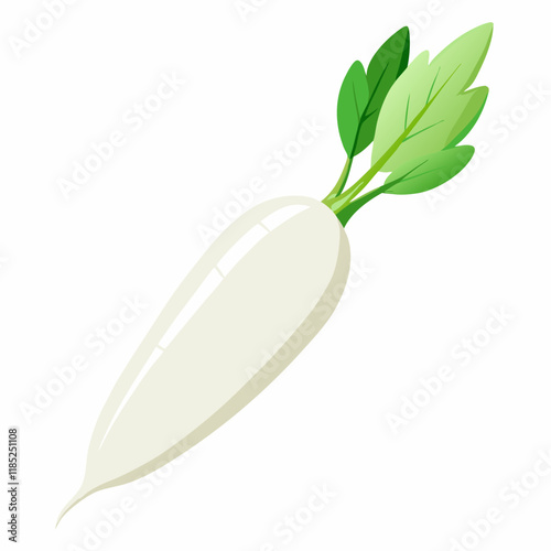 white long radish