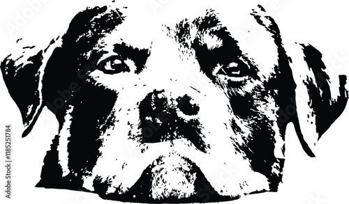 Rottweiler dog stencil laying head on surface.