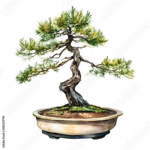 A watercolor of a Japanese Larch Bonsai, isolated on a white background. Japanese Larch Bonsai vector.
