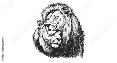 Leos. A lion embraces a lioness. Graphic, digital portrait of lions in love on a white background. Digital vector graphics.
