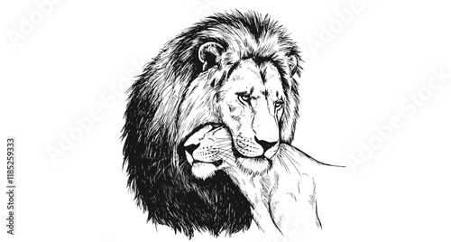 Leos. A lion embraces a lioness. Graphic, digital portrait of lions in love on a white background. Digital vector graphics.
