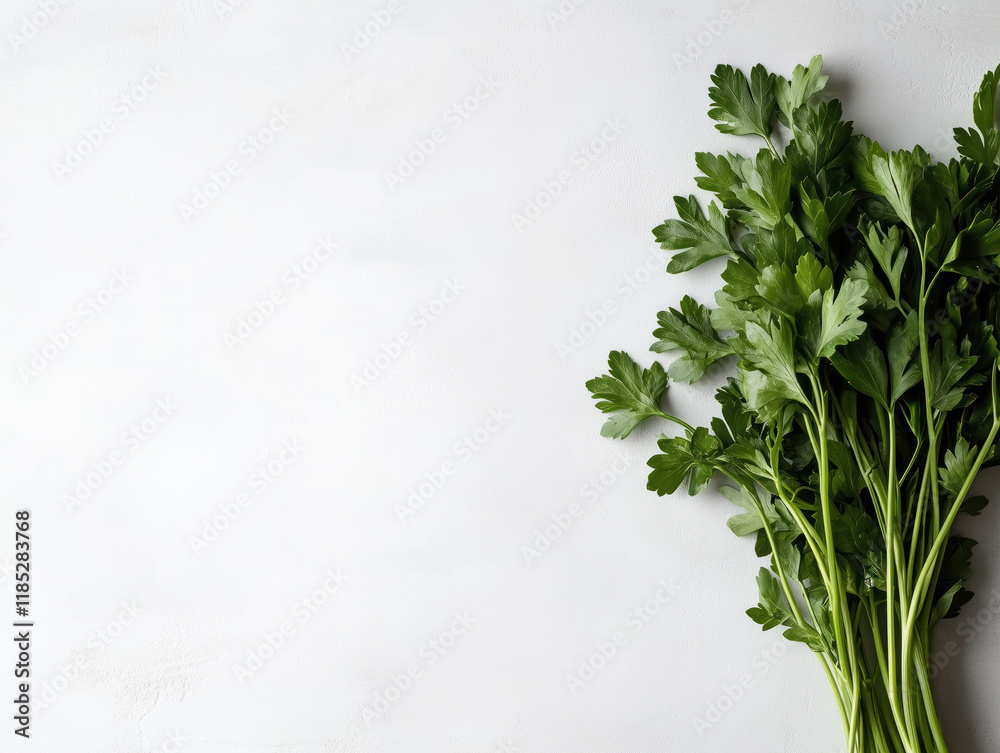 Fresh Parsley Leaves on White Background: Minimalist Culinary Stock Photo