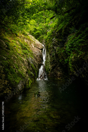 Waterfall in Canyon through Cedar Run