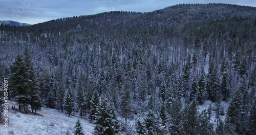 Winter Aerial Drone Over Forest and Meadows Missoula Montana