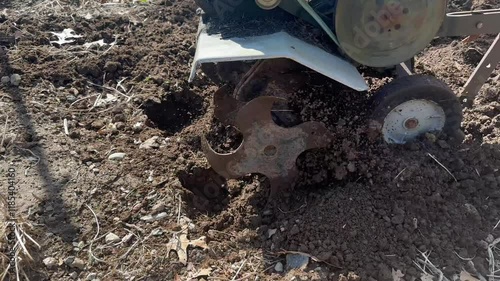 Wallpaper Mural A video of a man using an old forward-rotating gas cultivator handheld rototiller to prepare the soil for a vegetable garden. Torontodigital.ca