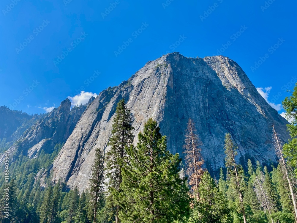 Obraz premium Yosemite