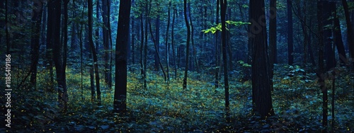 An intimate shot of the bioluminescent fireflies lighting up the mangrove forests of the Mergui Archipelago, Myanmar, Forest scene photo