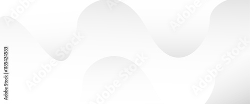 Abstract Shadow. blur background. gray leaves that reflect concrete walls on a white wall surface for blurred backgrounds and monochrome wallpapers.