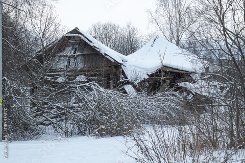 abandoned wooden village house dilapidated with a collapsed roof. snow and abandoned village housing with an overgrown area around. . High quality photo photo