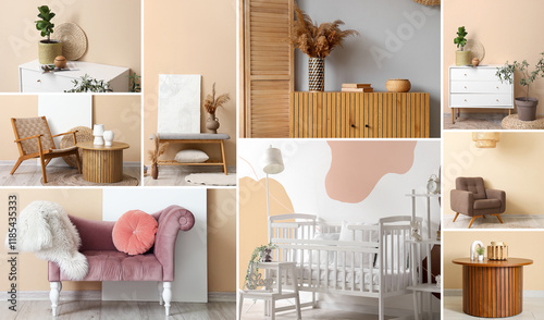 Collage of stylish domestic...