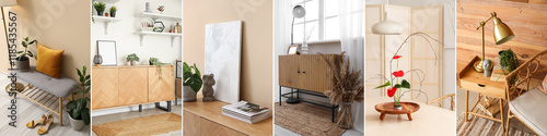 Set of stylish domestic int...