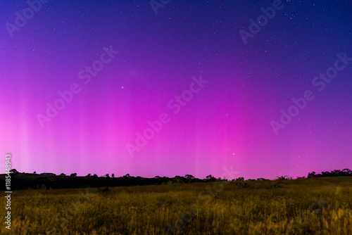 Aurora Australis display lights up the predawn sky in pinks photo