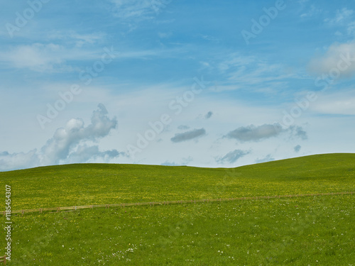 Rolling green hills under a bright blue sky. A peaceful, idyllic landscape perfect for relaxation and tranquility.