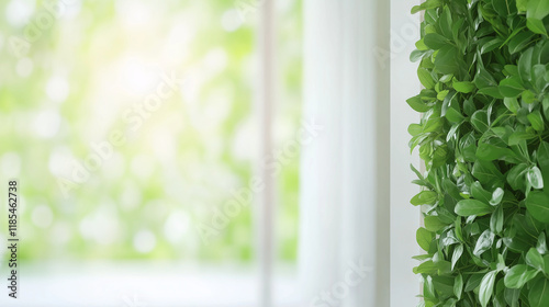 Verdant Wall, Sunlit Window