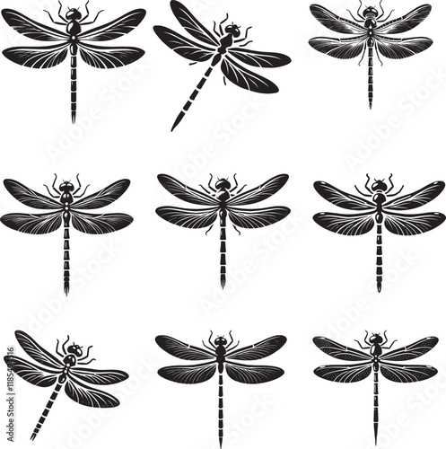 set of dragonfly