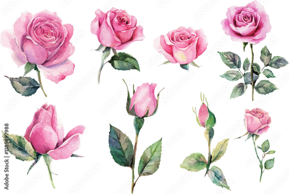 roses on white roses on white