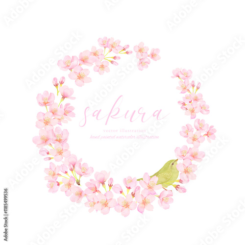 美しい桜の花のベクターイラストフレーム素材