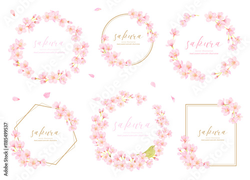 美しい桜の花のベクターイラストフレーム素材