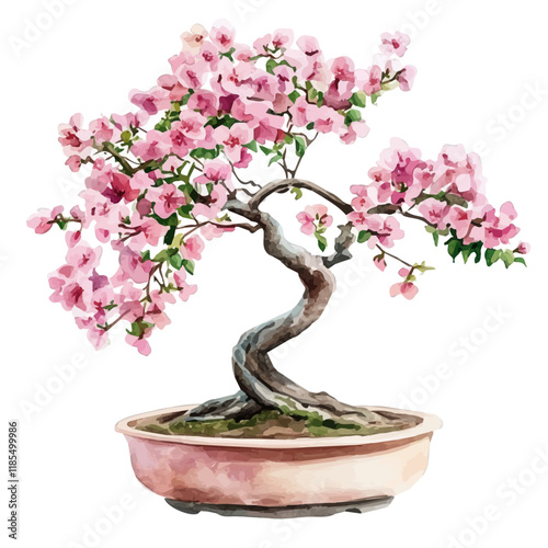 A watercolor painting of a Floss Silk Tree Bonsai, isolated on a white background. Floss Silk Tree vector.
