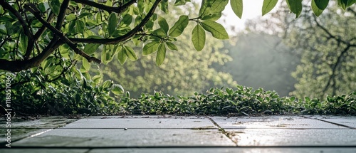 Serene Garden Patio  Tranquil Nature Background with Lush Greenery   Sunlight