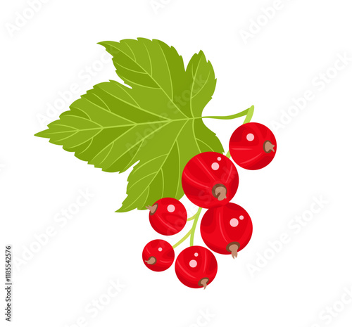 Red currant branch and green leaf isolated on white background. Vector flat cartoon illustration. Fresh berry icon. 