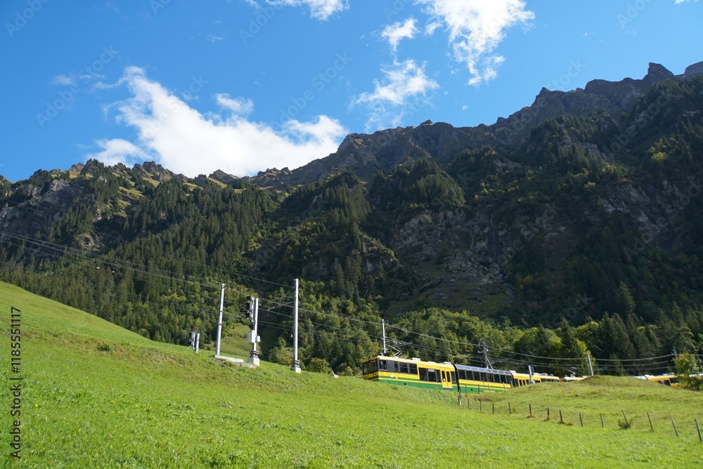 Fototapeta premium Train in the mountains - Switzerland