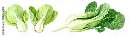 Fresh green bok choy on white isolated background.