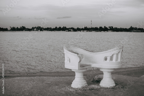 The Confidant Chair: An oasis in the Coloradas