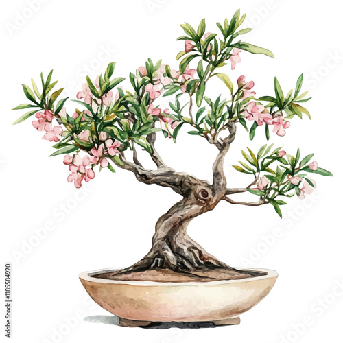 A watercolor of a Desert Willow Bonsai, isolated on a white background. Desert Willow Bonsai vector.
