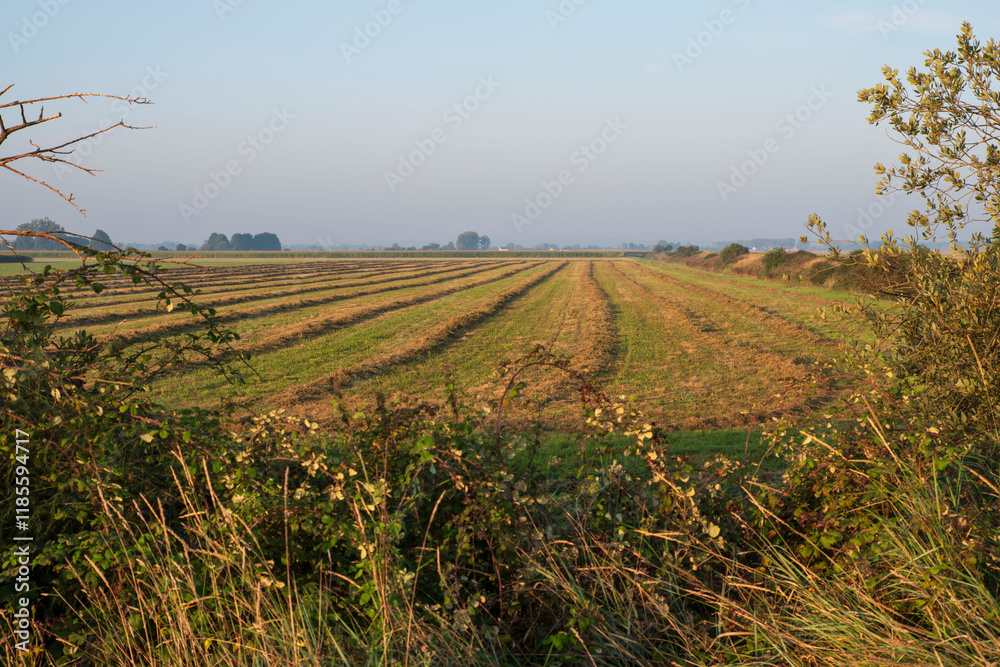 Obraz premium Cultivated fields with trees and surrounding nature in Normandy, France