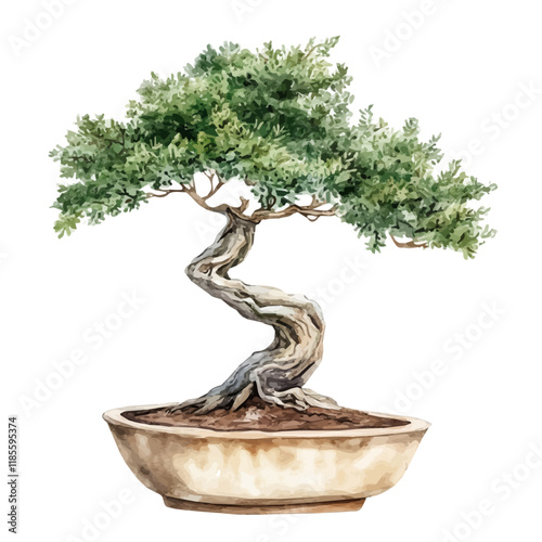 A watercolor painting of a Desert Acacia Bonsai, isolated on a white background. Desert Acacia Bonsai vector.
