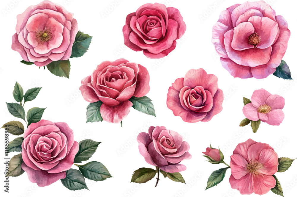 seamless pattern of roses seamless pattern of roses