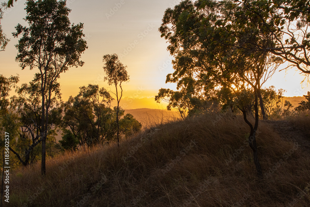 Obraz premium A sunrise view over the Australian Outback, with silhouettes of hardy trees and shrubs, capturing the essence of a new day.