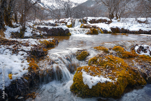 Flowing stream winter landscape nature photography snowy environment close-up tranquility, Bipenggou national park in China photo