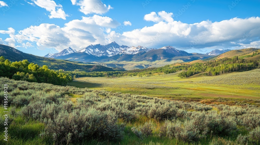 Breathtaking mountain landscape with vibrant green fields, shrubs, trees, and snow-capped peaks under a blue sky with fluffy clouds. Breathtaking mountain landscape with vibrant green fields, shrubs, trees, and snow-capped peaks under a blue sky with fluffy clouds.