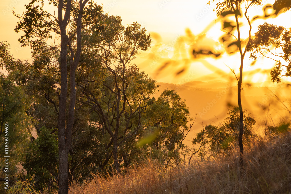 A sunrise view over the Australian Outback, with silhouettes of hardy trees and shrubs, capturing the essence of a new day. A sunrise view over the Australian Outback, with silhouettes of hardy trees and shrubs, capturing the essence of a new day.