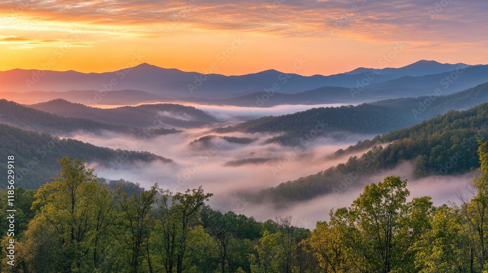 Obraz premium Serene sunset landscape illuminating mist-shrouded mountains with lush green foliage in the foreground and vibrant sky hues at dusk
